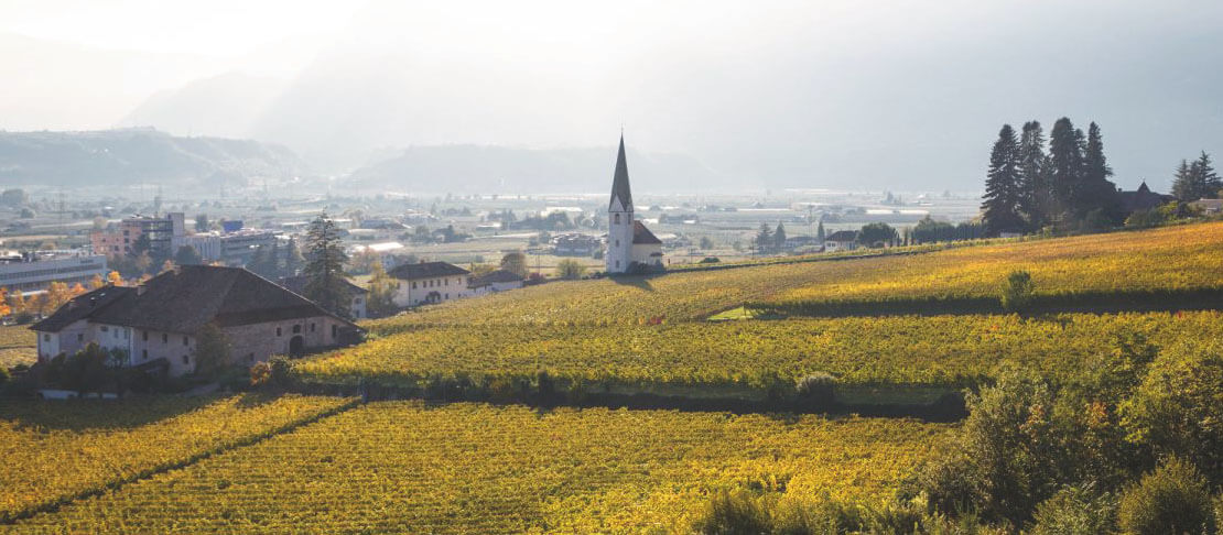 Banner Kellerei Bozen