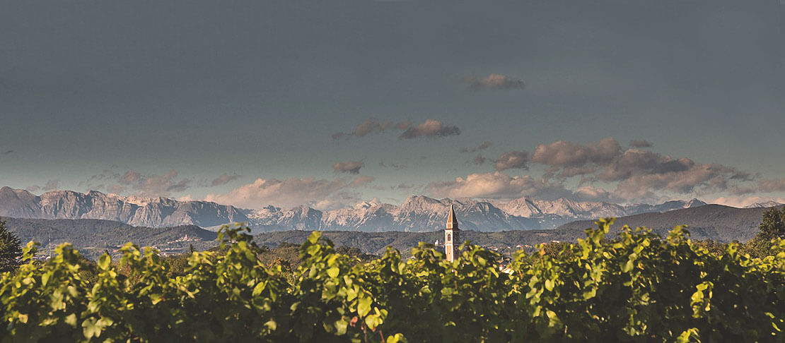 Banner Cantina Lis Neris