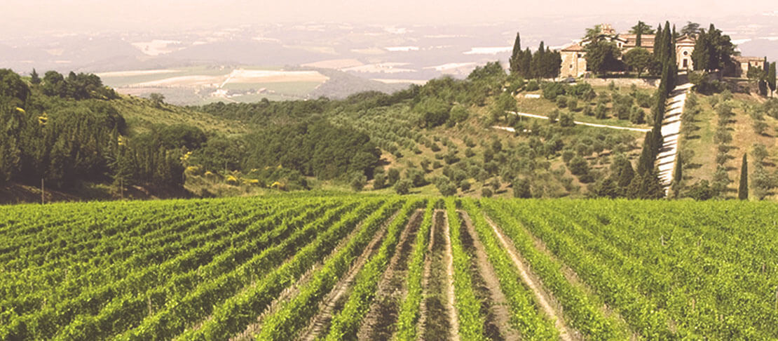 Banner Marchesi dè Frescobaldi