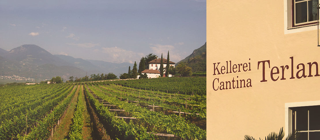 Banner Kellerei Terlan