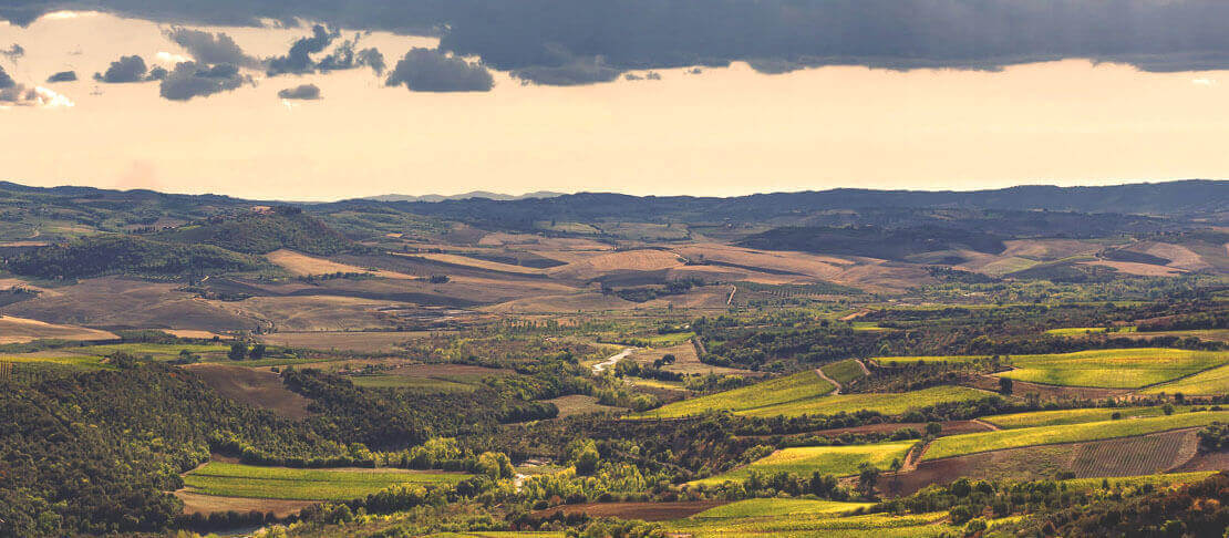 Banner Poggio di Sotto
