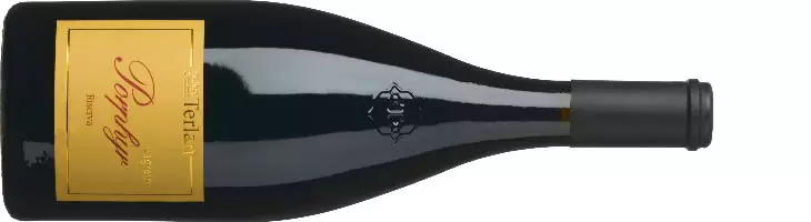 Die besten Lagrein Weine Südtirols 4 Kellerei Terlan Lagrein Riserva Porphyr