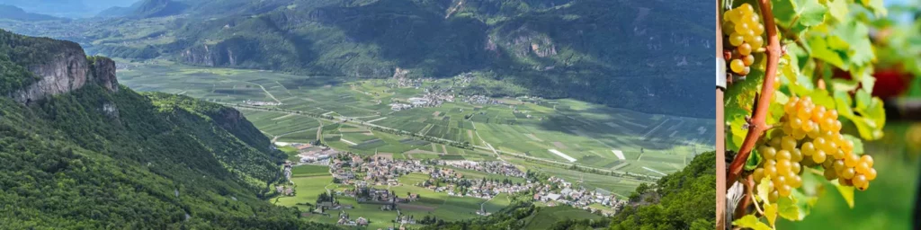 Die Top 10 im Etschtal: Weine und Winzer 2 Südtiroler Weinbauzone: Etschtal